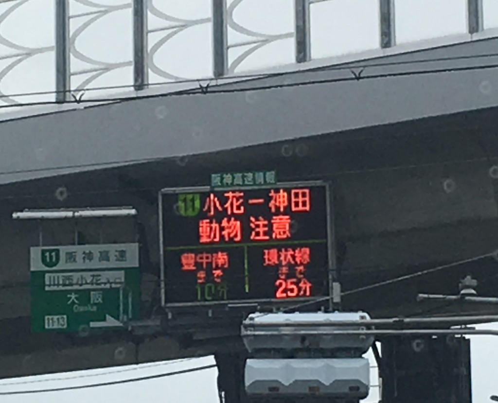 阪神高速動物渋滞注意