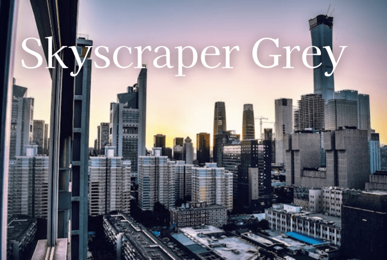 スカイスクレイパーグレー C4Wの設定があるBMWの車種を調べてみた