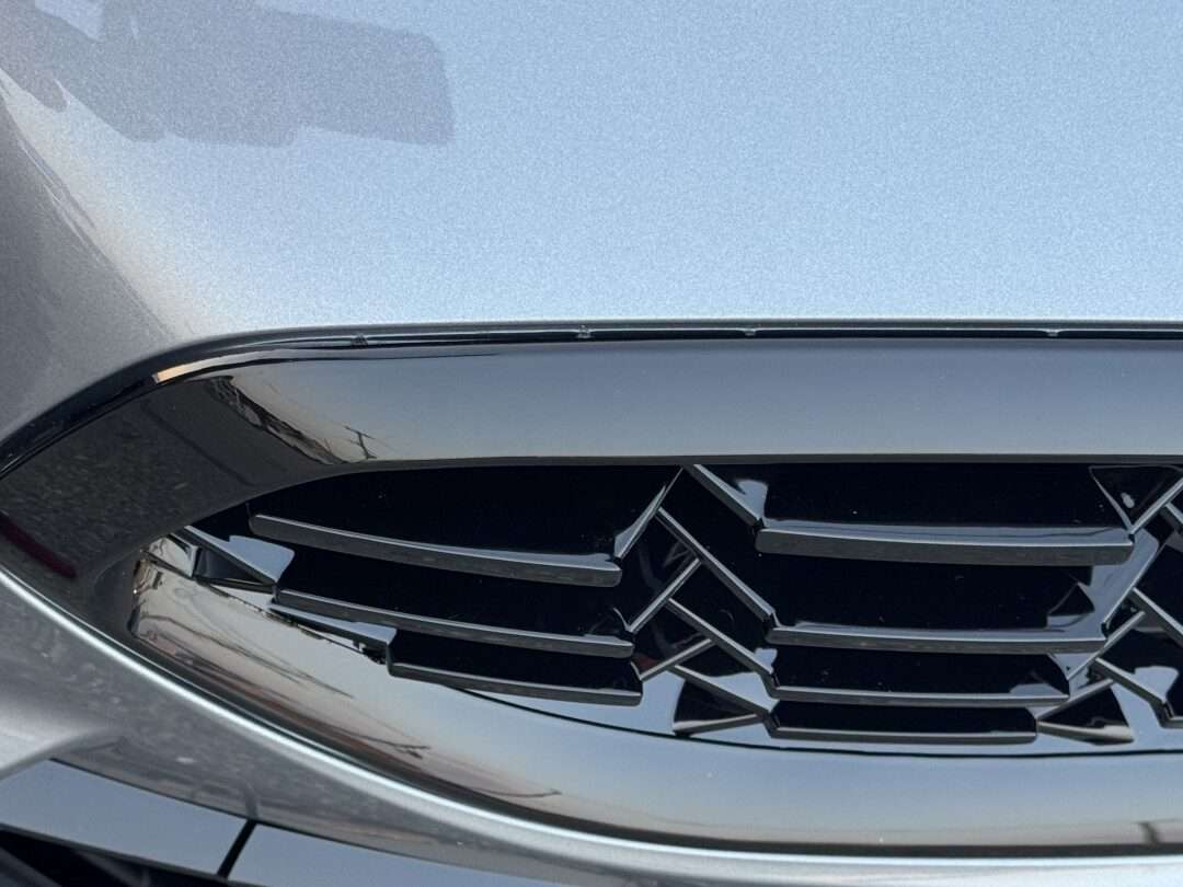 アリエクで購入する激安なブラックキドニーグリル