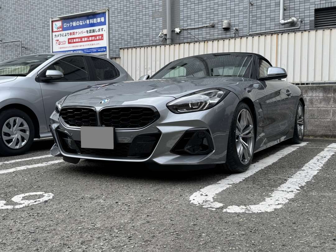 アリエクで購入する激安なブラックキドニーグリル