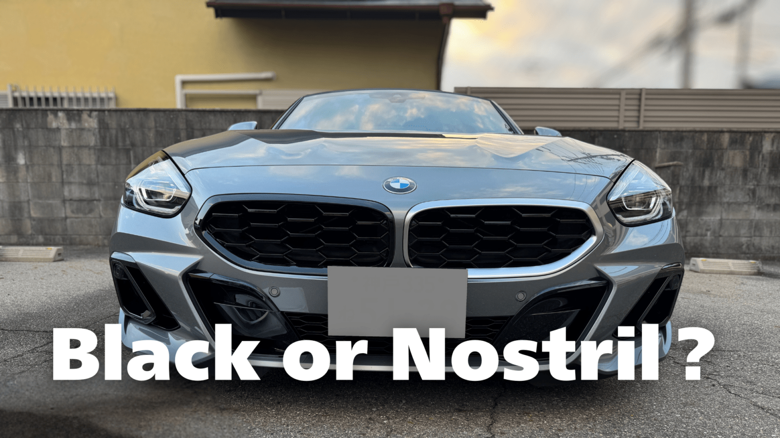 アリエクで購入する激安なブラックキドニーグリル