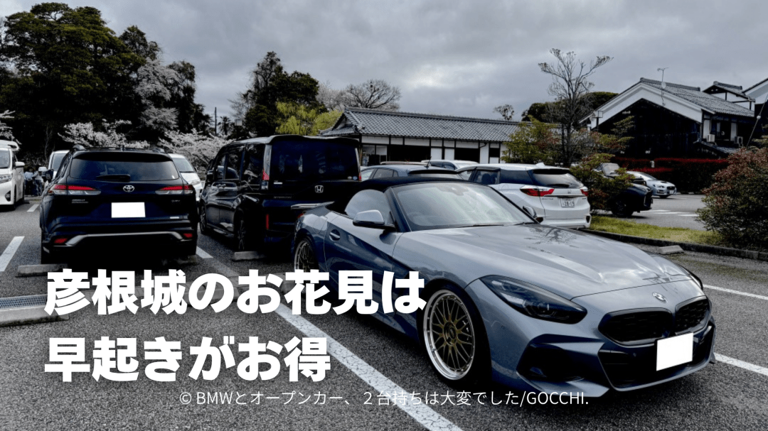 彦根城のお花見には屋形船の予約とスニーカーが必須