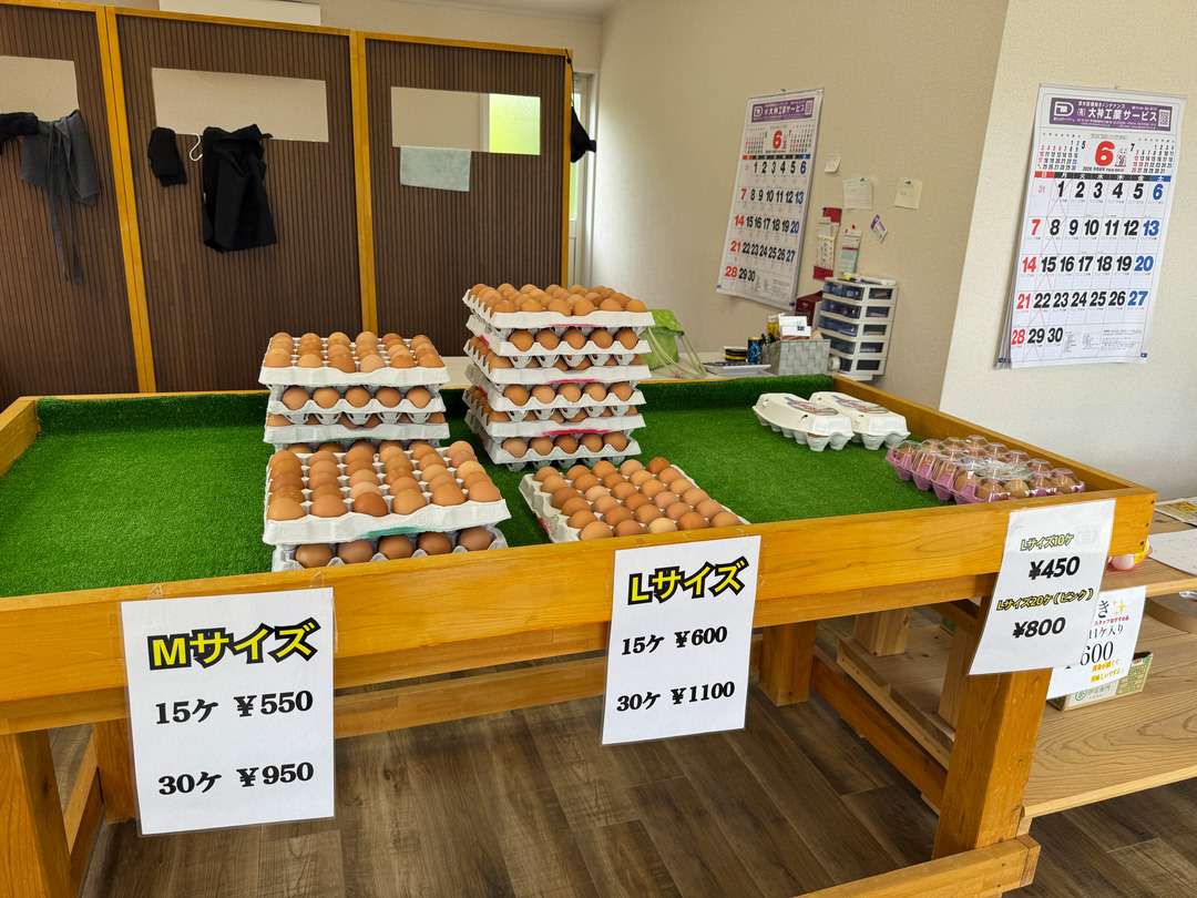 卵かけご飯ドライブ 兵庫県神戸市北区「たまごや」