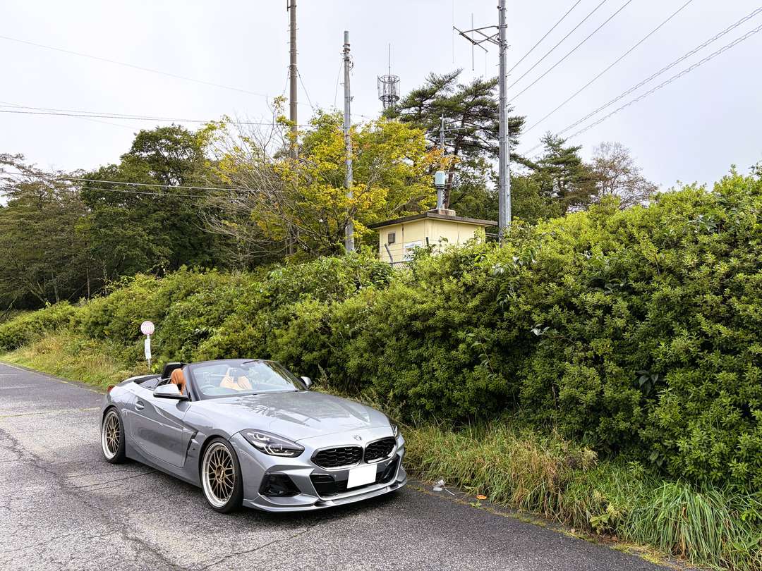 緑に囲まれた道路脇に停められた銀色のオープンカーと、背後の電柱・通信設備。