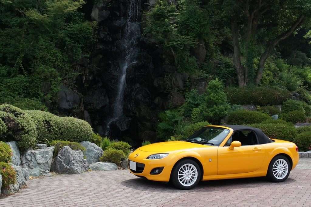 滝のある庭園に停められた黄色いオープンカー